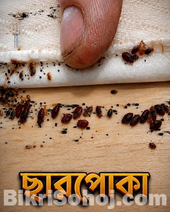 Raj Pest Control Service